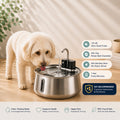 The Pet Fountain + 4 Filters FREE
