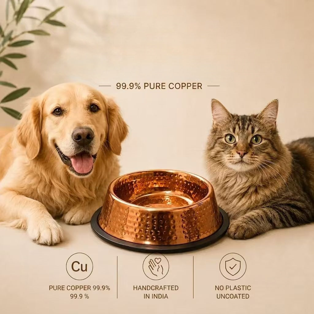 Aureove™ 99.9% Pure Copper Bowl for Dogs & Cats