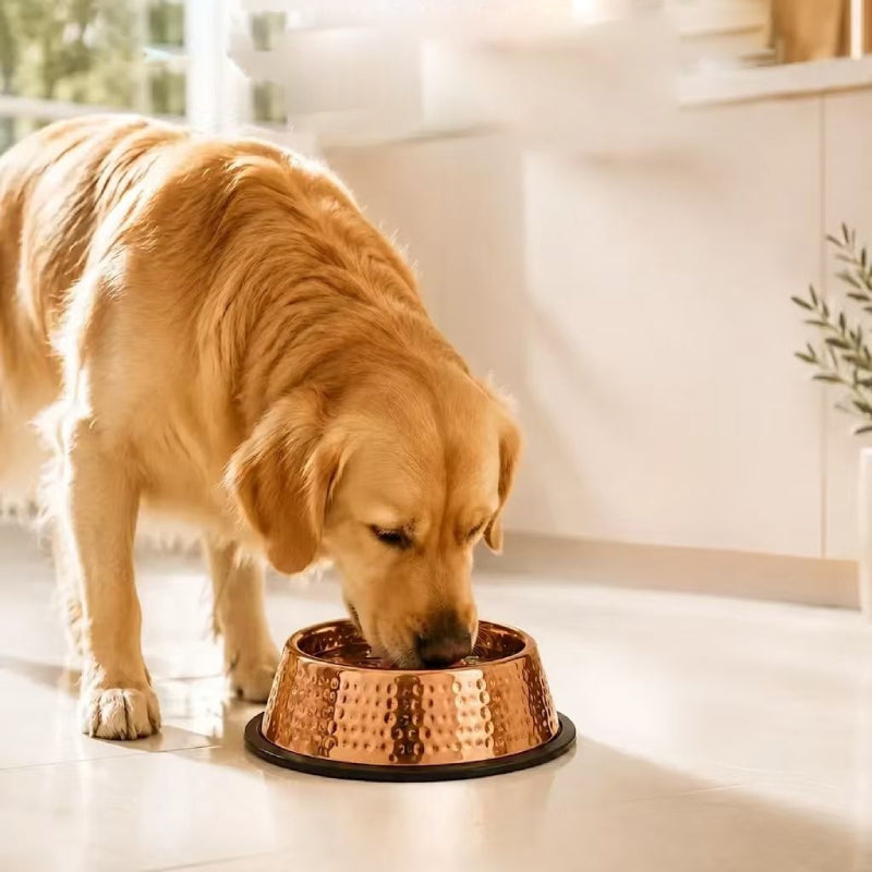 Aureove™ 99.9% Pure Copper Bowl for Dogs & Cats