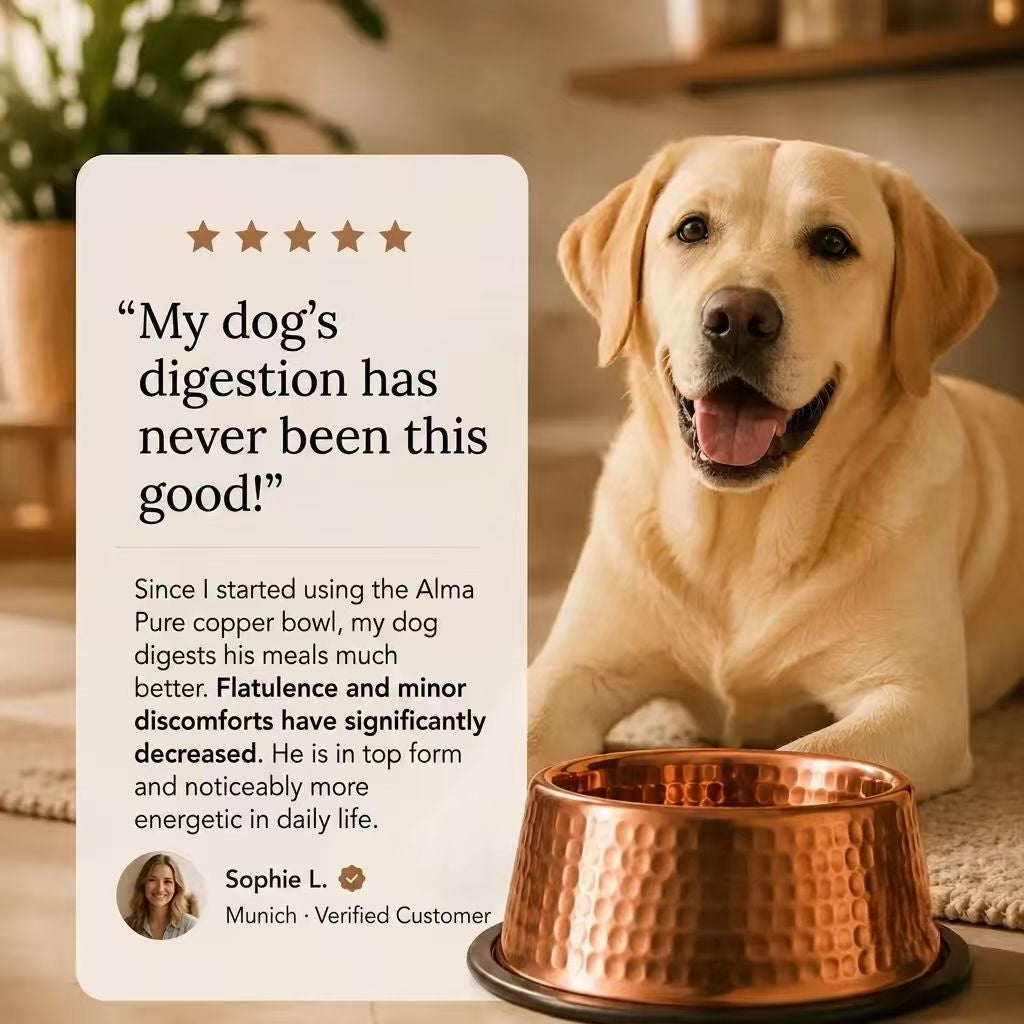 Aureove™ 99.9% Pure Copper Bowl for Dogs & Cats