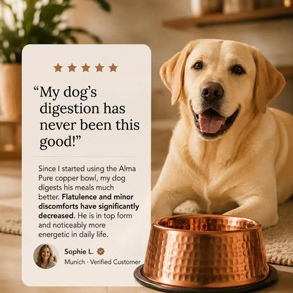 Aureove™ 99.9% Pure Copper Bowl for Dogs & Cats